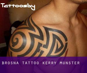 Brosna tattoo (Kerry, Munster)